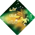 دراسات / إمكان رؤية الإمام المهدي عليه السلام في الغيبة الكبرى